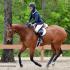 WTHJA Springtime Encore